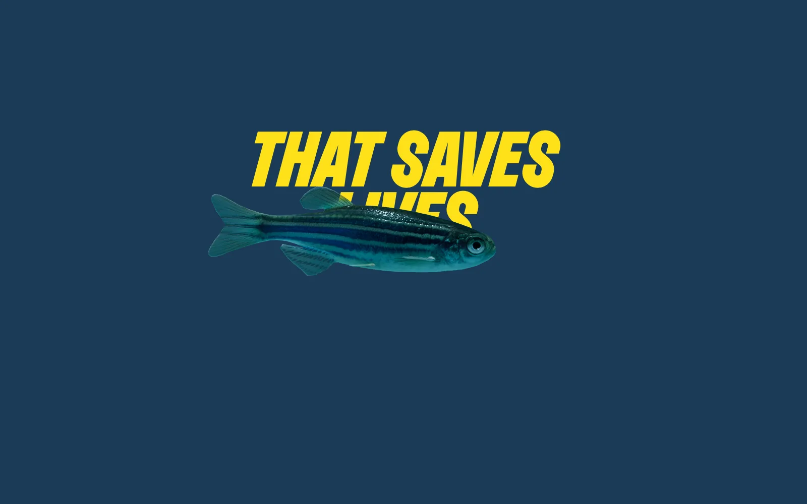 Frame from the animated experience: a zebrafish swims across the words That Saves Lives on deep blue, with a Dive In button.