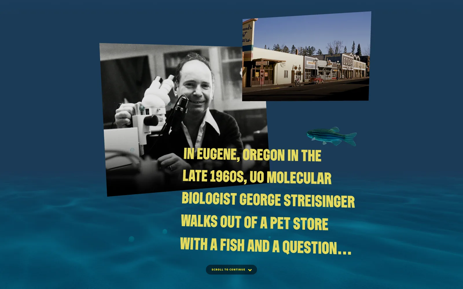 Frame from the animated experience: an underwater scene with photos of George Streisinger at a microscope and a 1960s Eugene storefront, with the chapter’s caption.