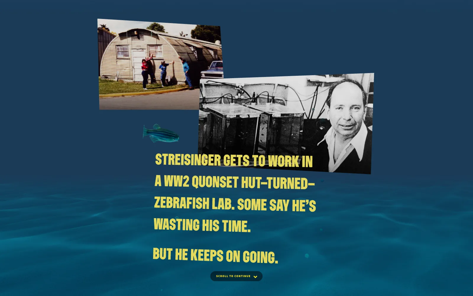 Frame from the animated experience: an underwater scene with photos of the Quonset hut lab and Streisinger beside his fish tanks, with the chapter’s captions.