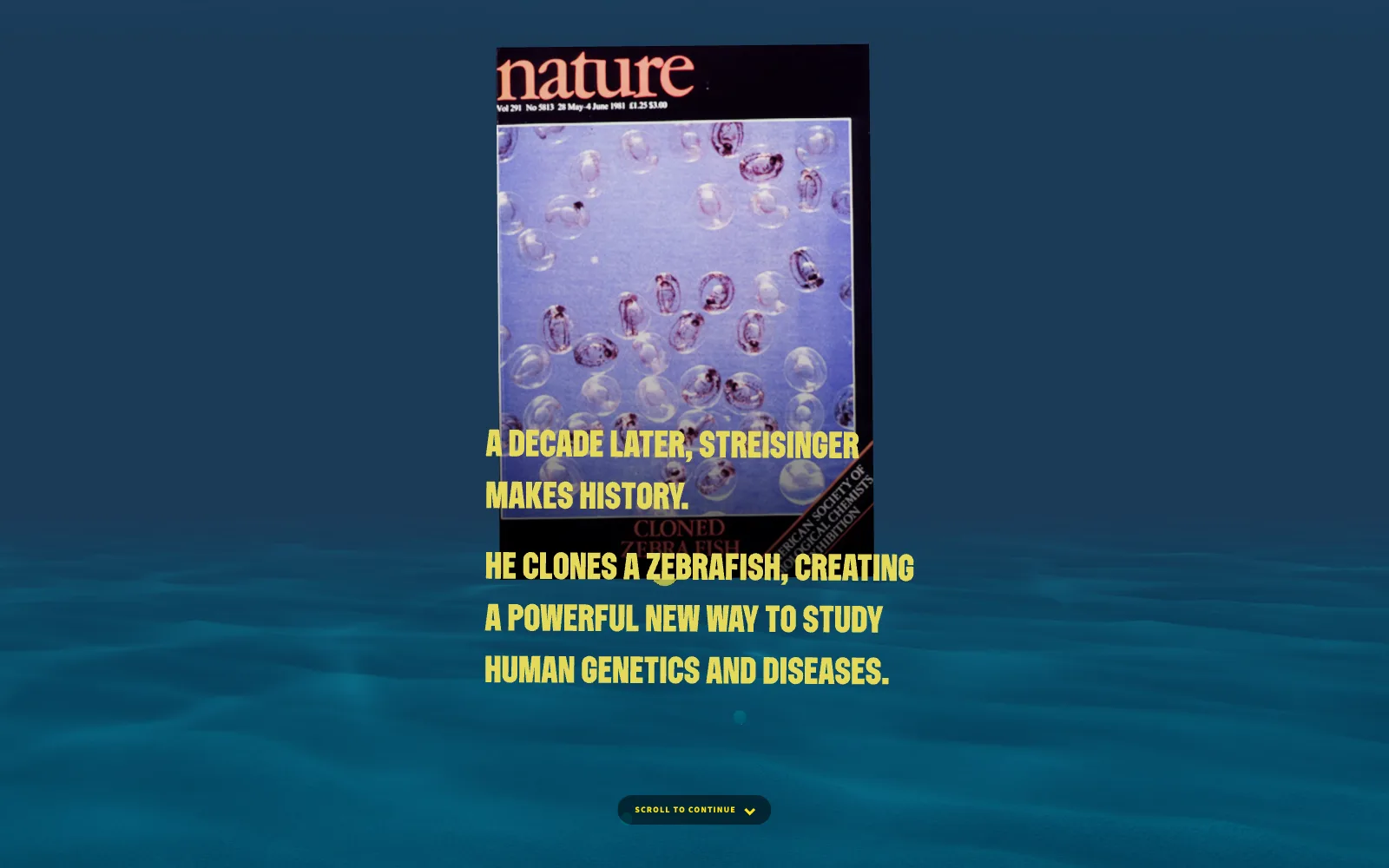 Frame from the animated experience: the 1981 cover of Nature, Cloned Zebra Fish, with the chapter’s captions over the underwater scene.