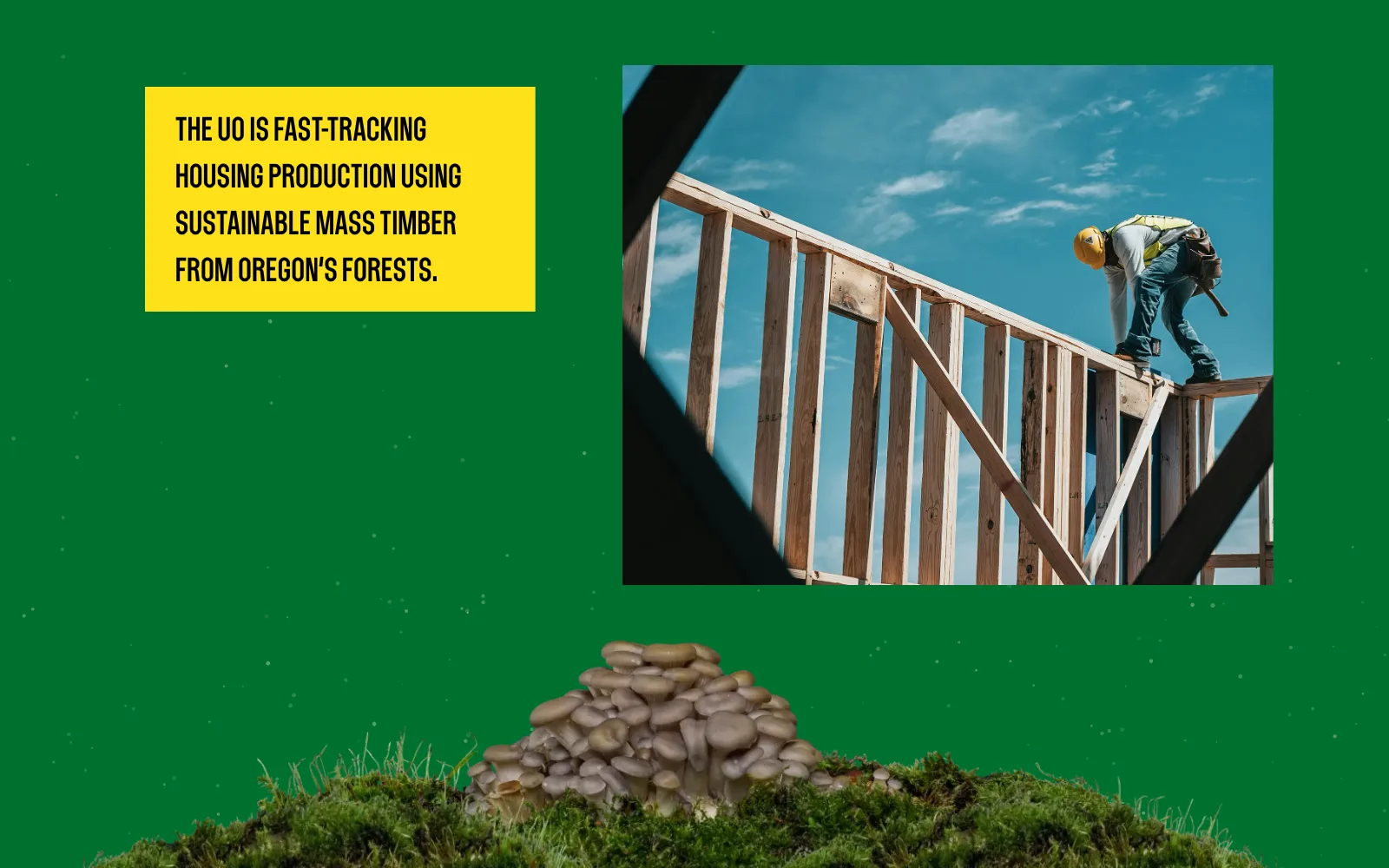 Frame from the animated experience: a worker on a timber frame under a blue sky, with the slide’s caption, above the mushroom cluster.