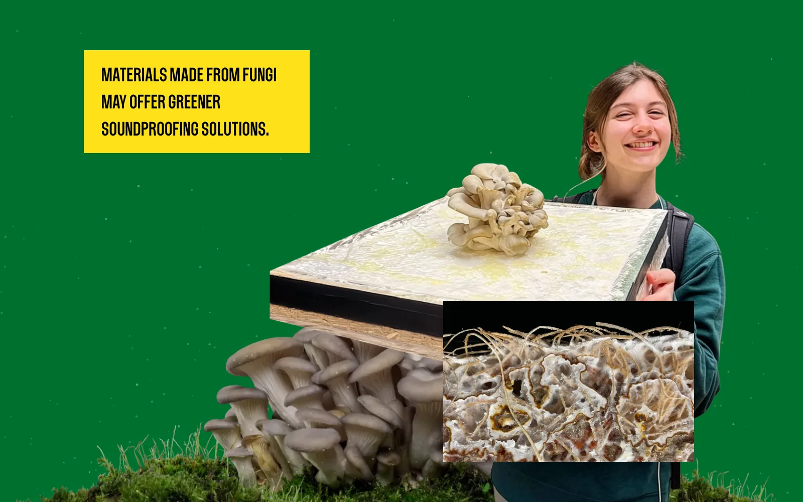 Frame from the animated experience: Charlotte with the panel and a close-up of mycelium fibers, with the slide’s caption.