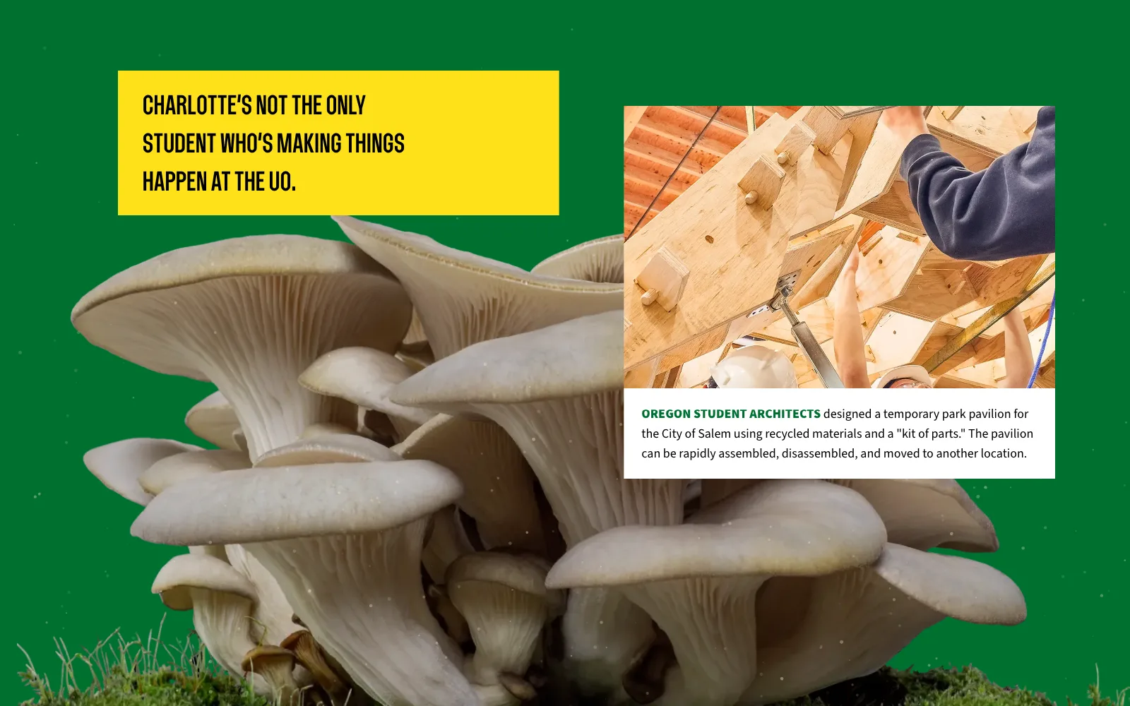 Frame from the animated experience: students assembling a plywood pavilion, with their caption, above the mushroom cluster.