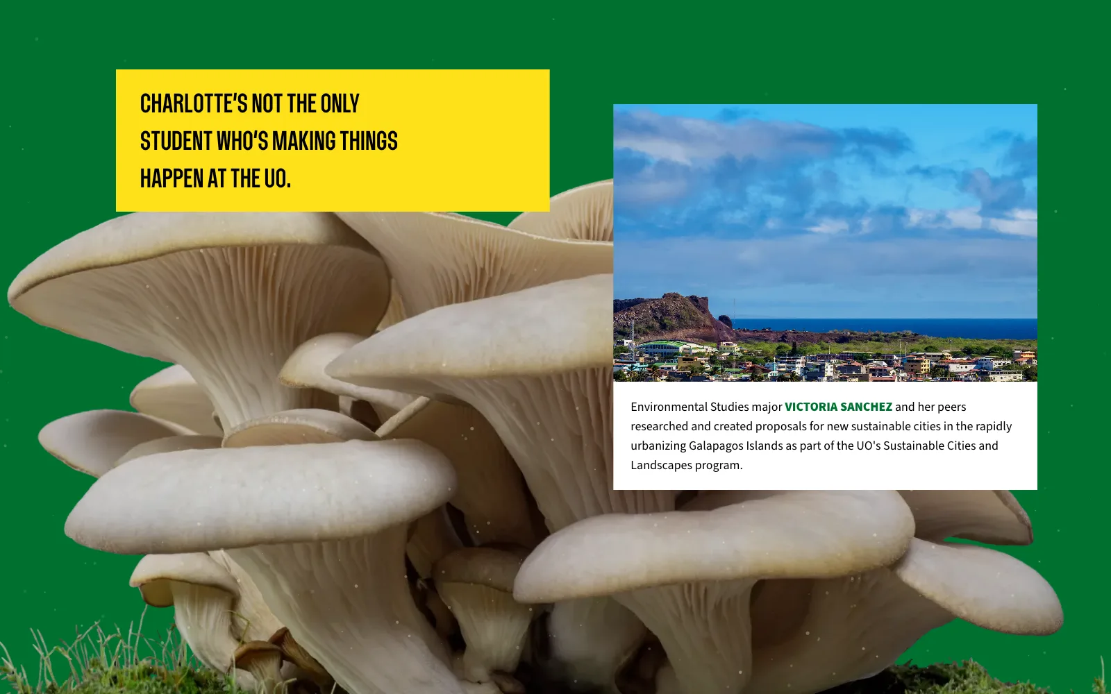 Frame from the animated experience: a harbor town in the Galápagos Islands, with Victoria Sanchez’s caption, above the mushroom cluster.