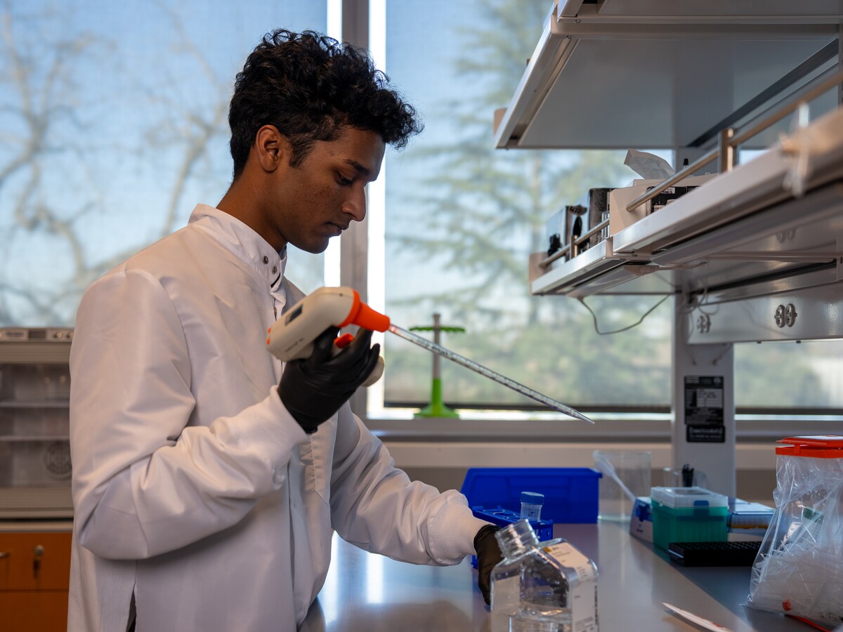A person uses a pipette at a laboratory bench.