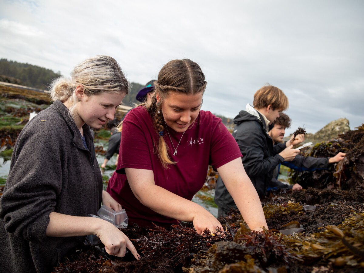 Students collect marine specimens along the Oregon coast.