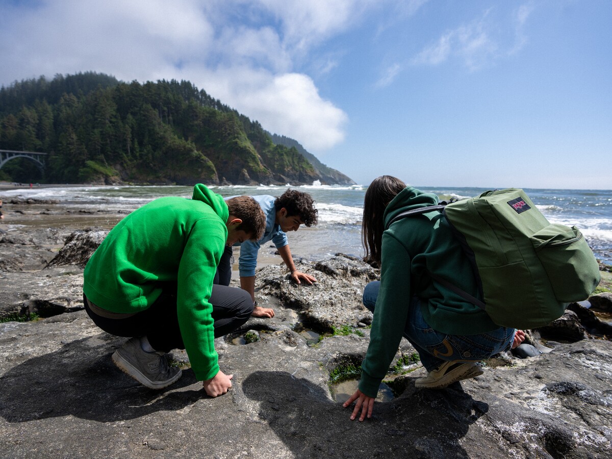 Researchers examine tide pools along the Oregon coast.