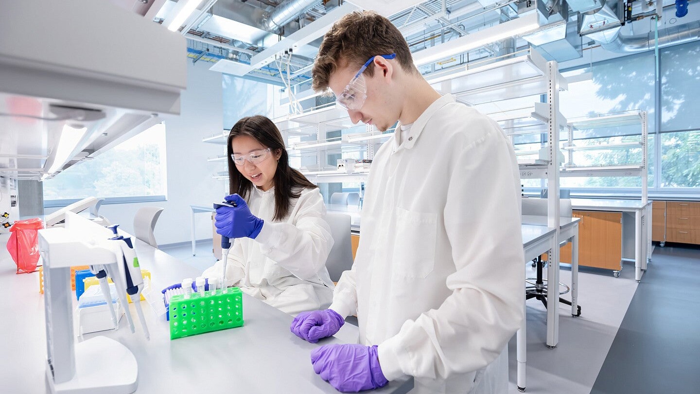 Two researchers work together in the Papé Family Innovation Center.
