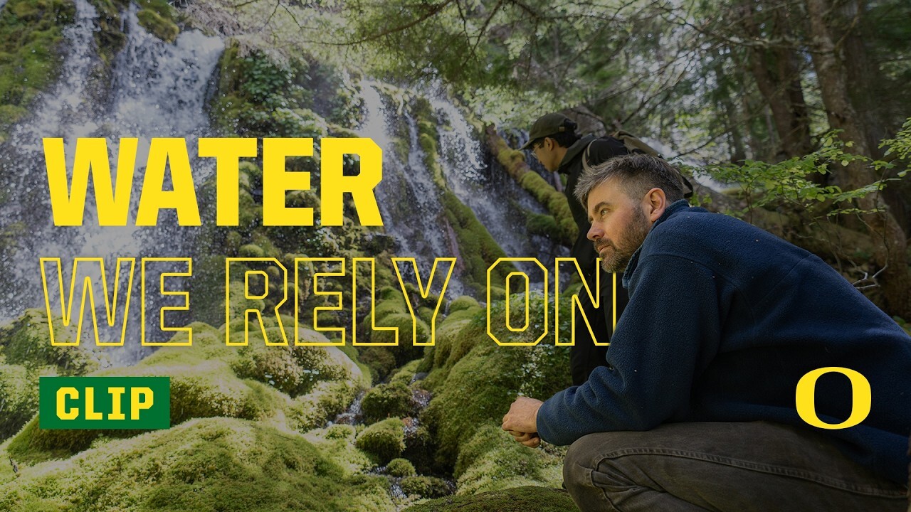 Two researchers examine a mossy waterfall.