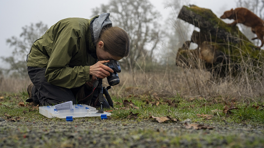Student taking a photo of samples on the ground of a field