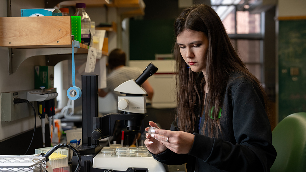 A student examining content inside of a petri dish