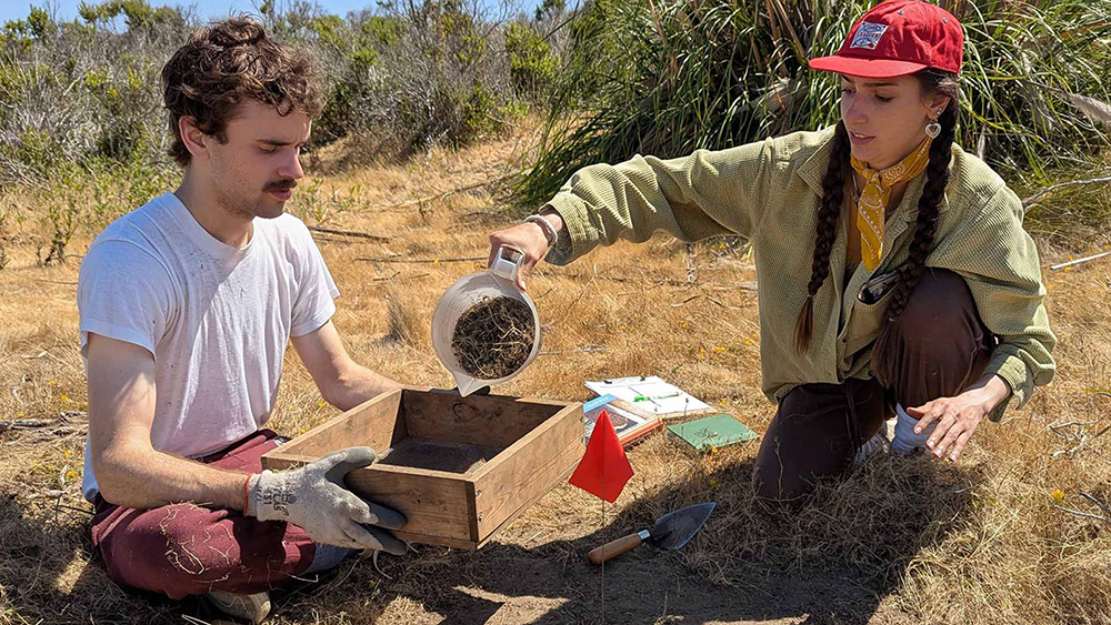 Two students extracting dirt at a dig site.