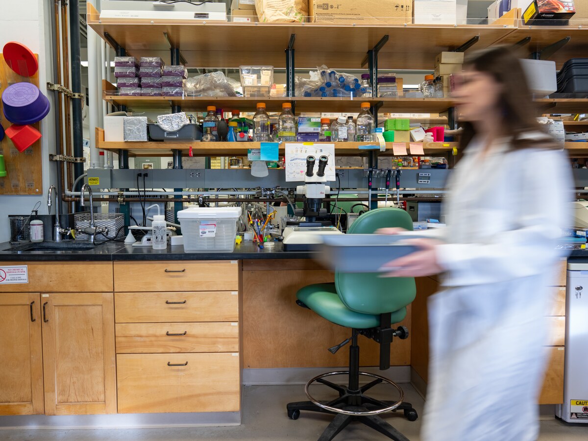 A person works at a laboratory bench.