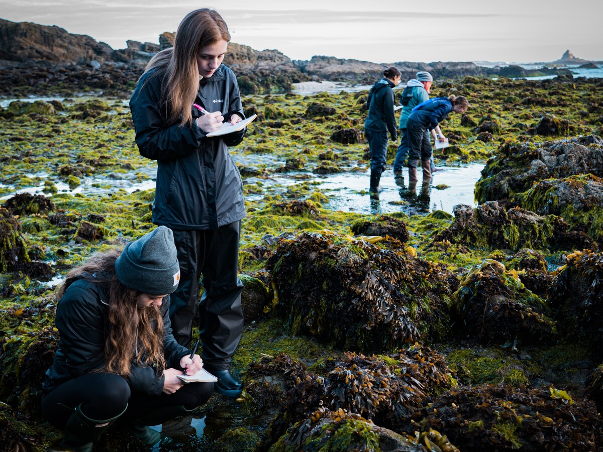 Students record observations among tide pools on the Oregon coast.