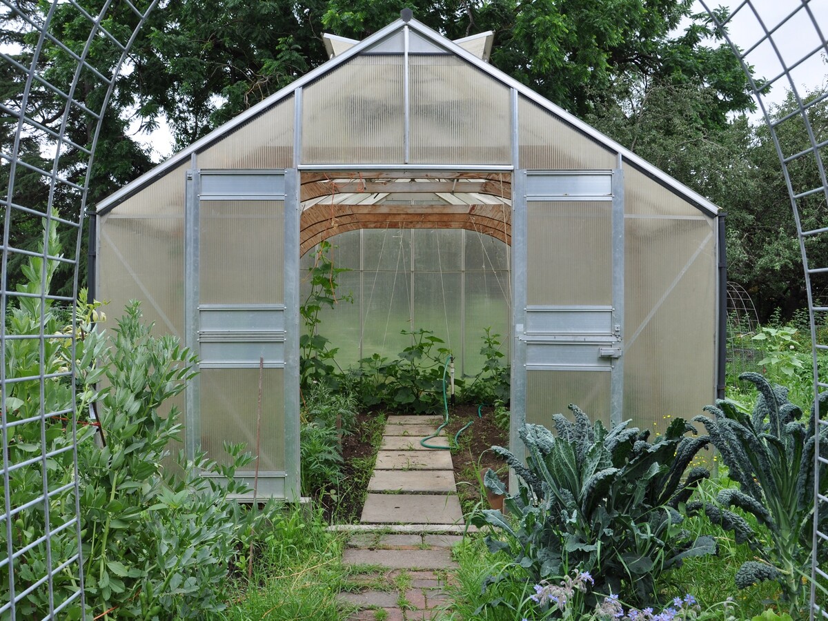 A greenhouse stands among vegetables at the University of Oregon Urban Farm.