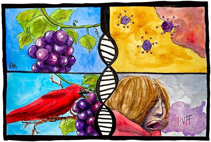 An Illustrated science comic page.