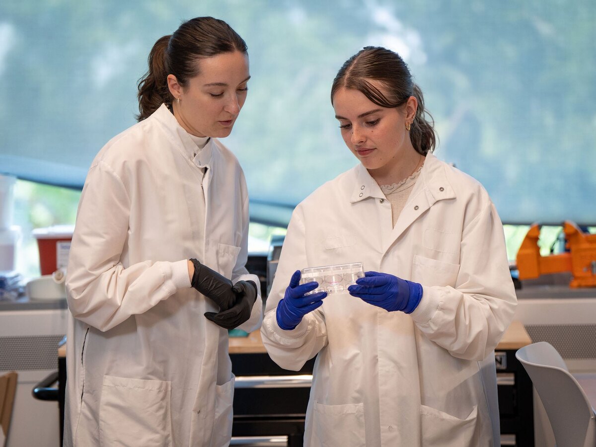Two researchers examine a lab plate.