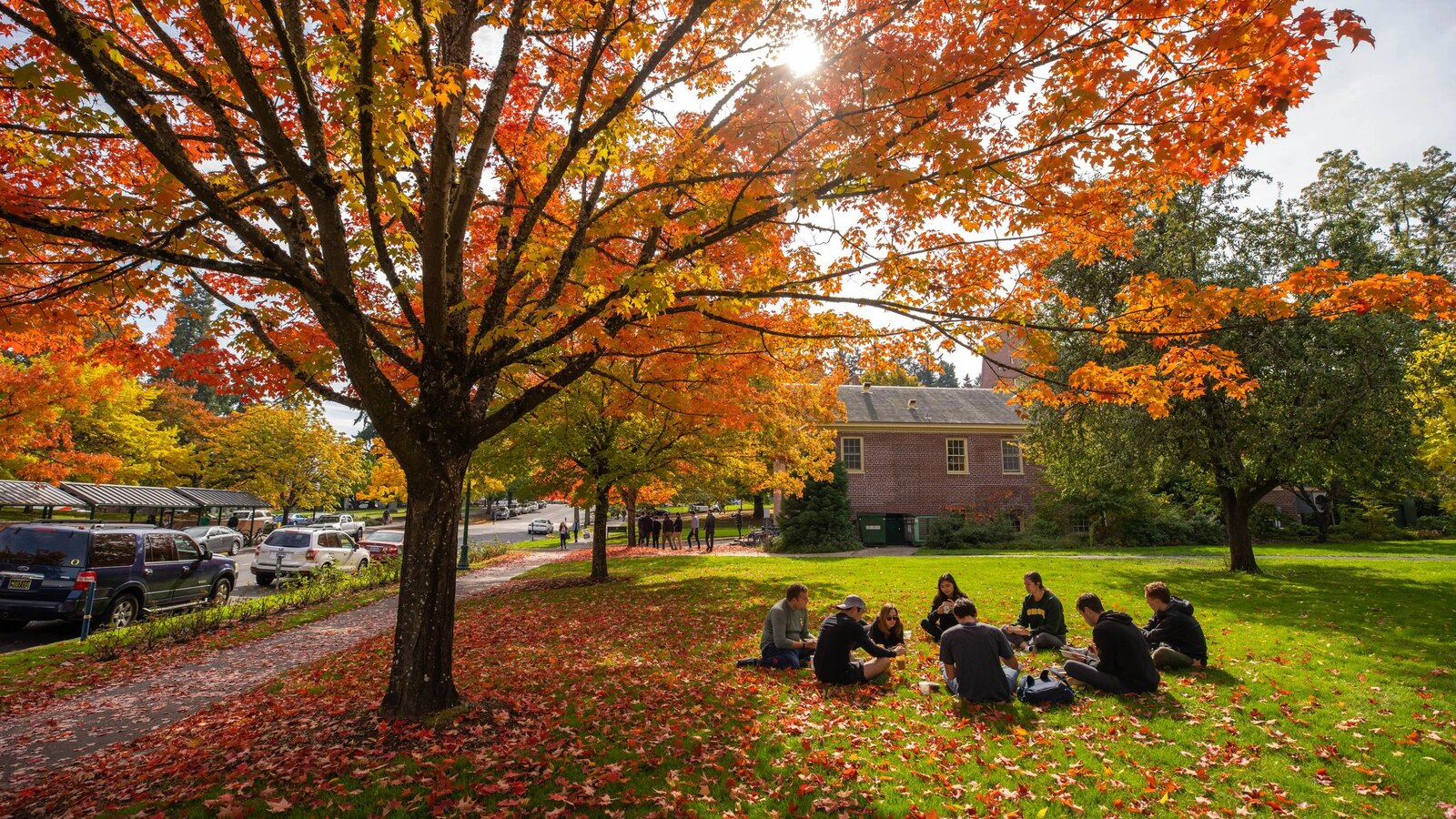 Students sit beneath autumn trees on campus.