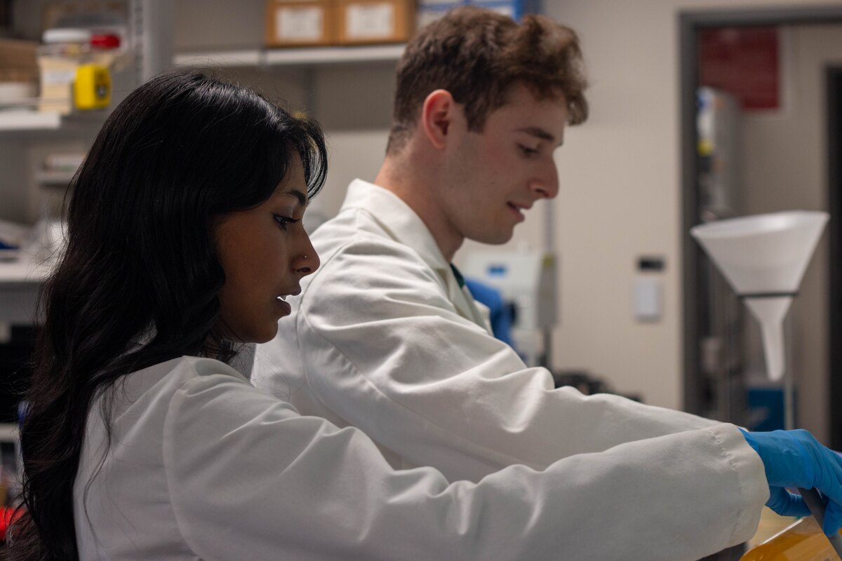 Students work together in a laboratory.