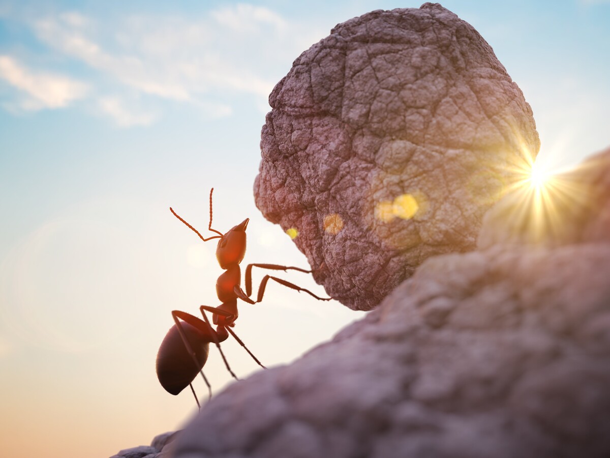 An ant pushes a boulder toward a sunrise.