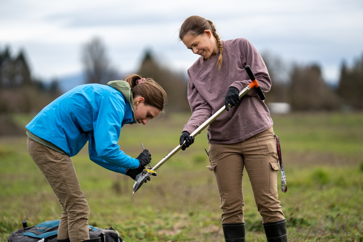 Two people collect soil samples in a field.