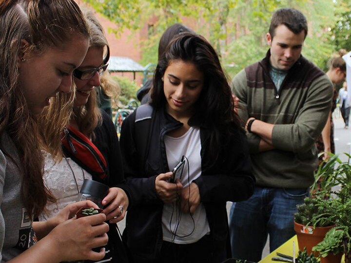 Students examine small plants at an outdoor event.