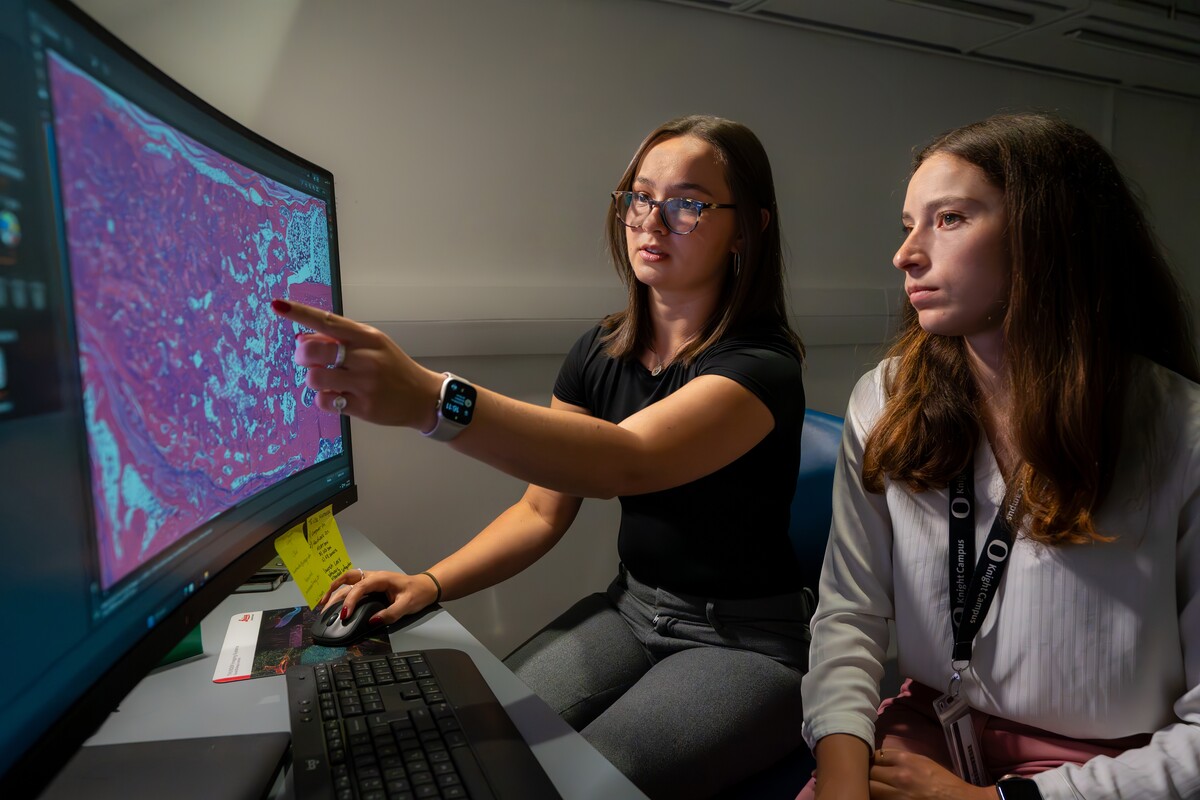An undergraduate researcher and mentor examine a colorful laboratory display.