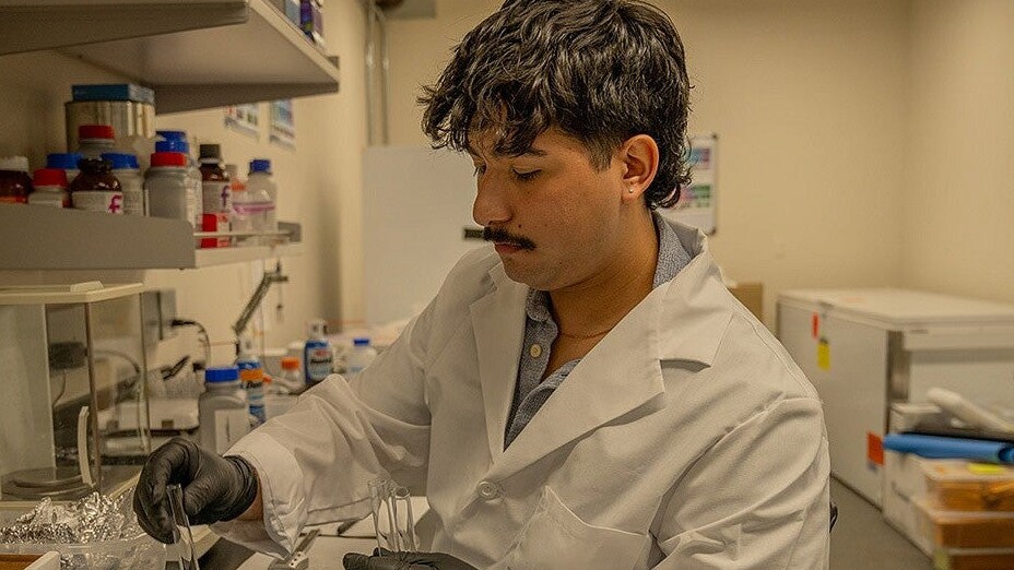 Sebastián Ibáñez Sanhueza works with test tubes in a laboratory.