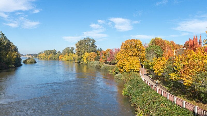 Autumn trees line a river in Eugene.