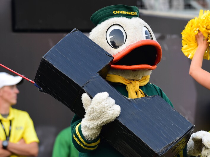 The Duck