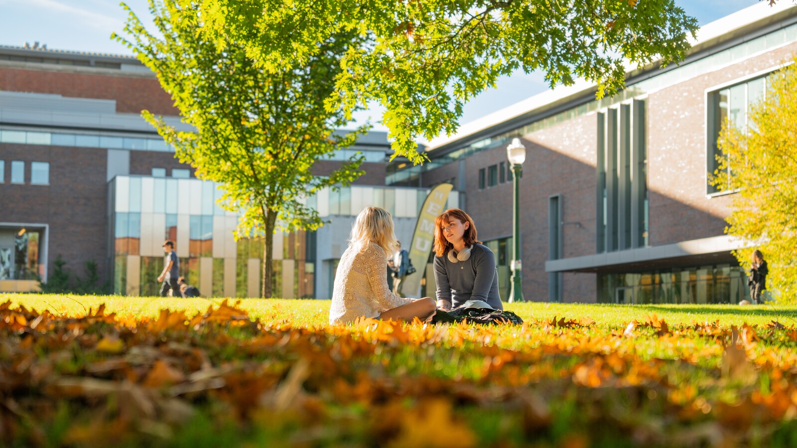 Two students talk on a sunny campus lawn.