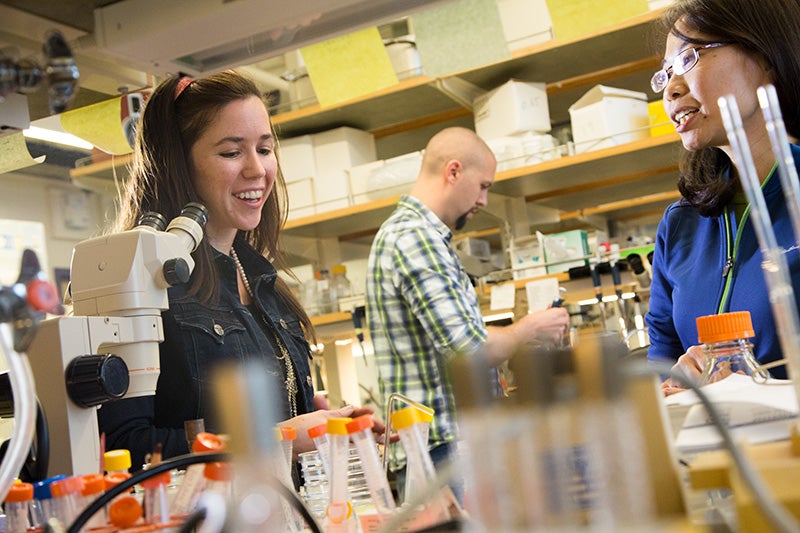 Students work at a lab bench with a microscope.