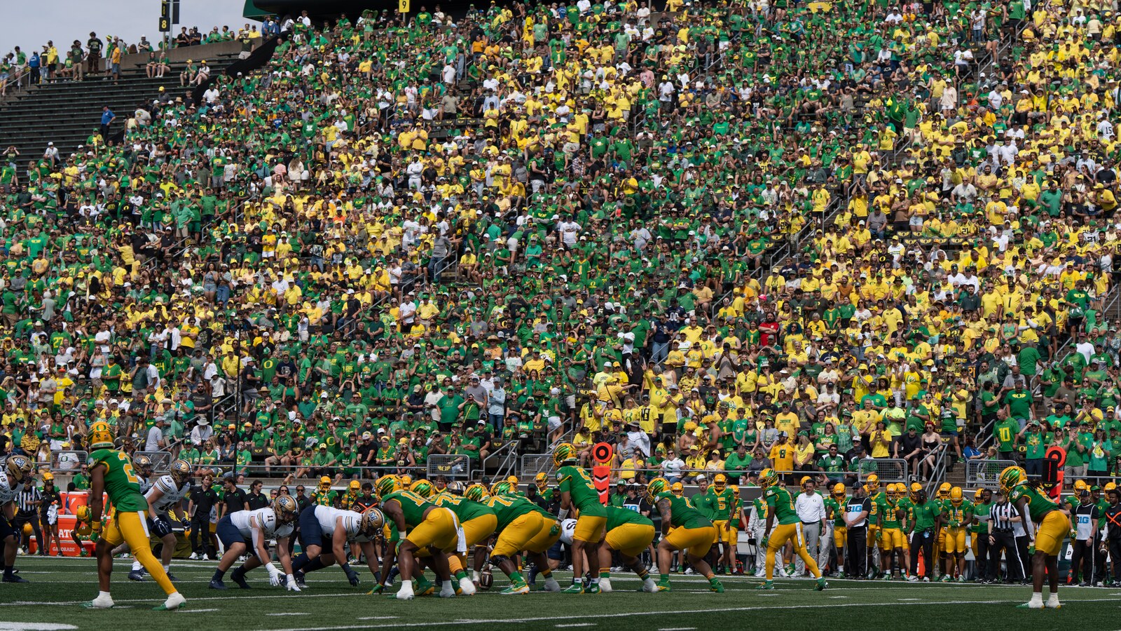Oregon fans create green and yellow stripes in Autzen Stadium.