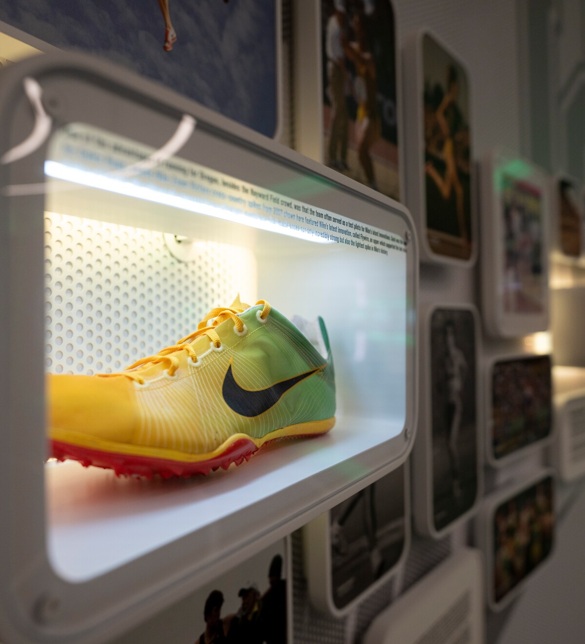 A green-and-yellow Oregon running shoe is displayed in Hayward Hall.