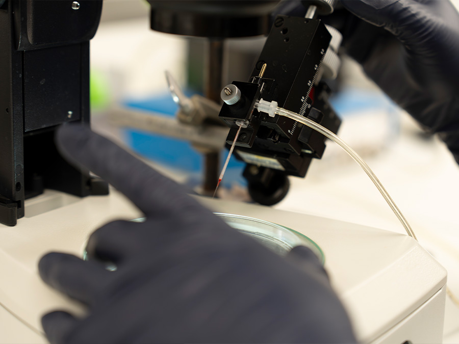 close up of gloved hands working with microscope