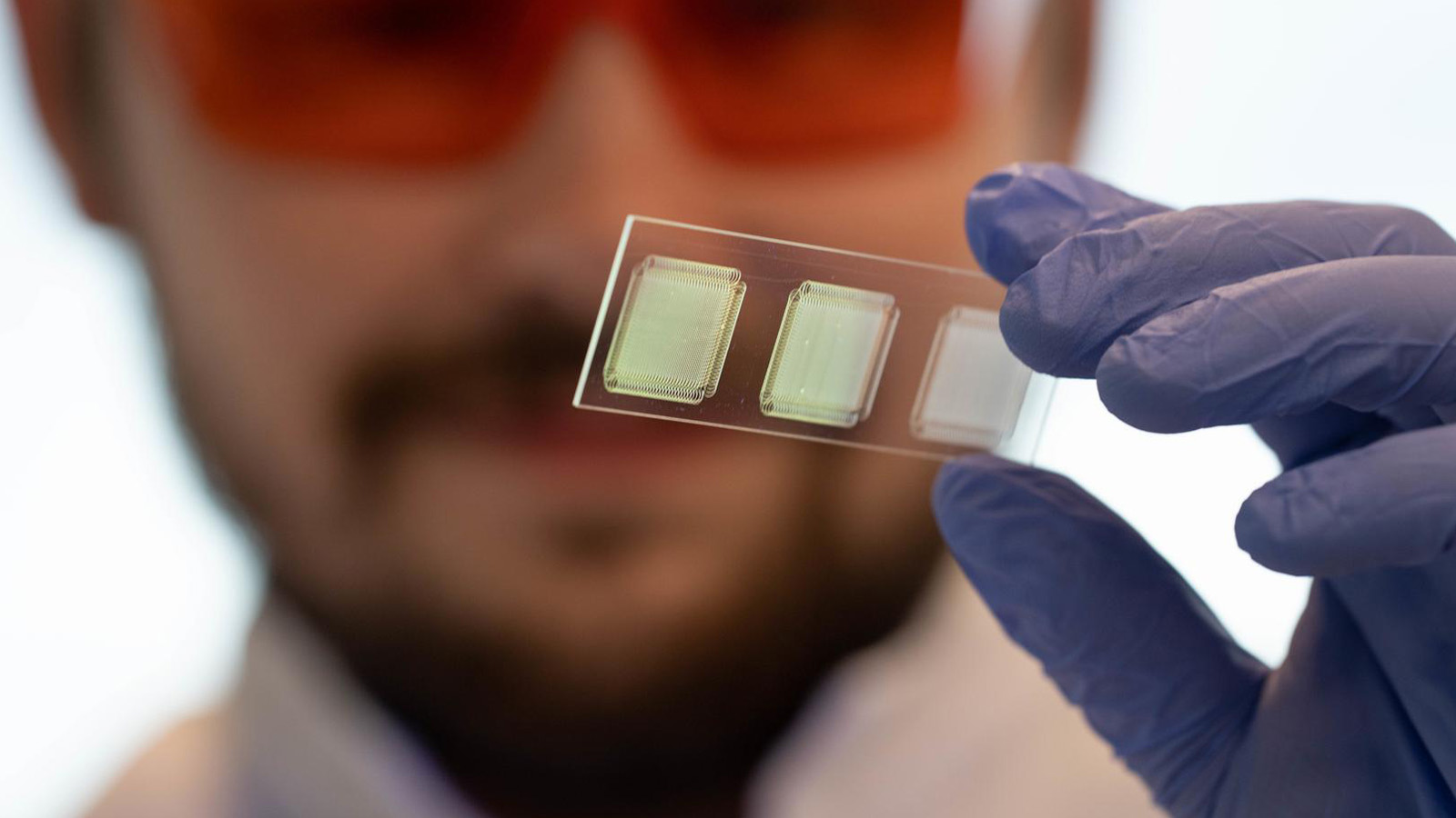 Scientist looking at slide