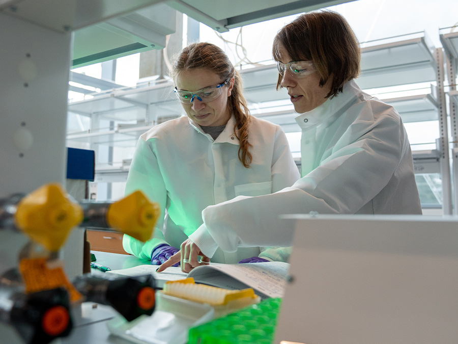 two scientists collaborating on a project