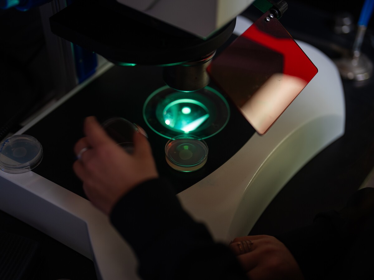 A researcher examines samples through a microscope.