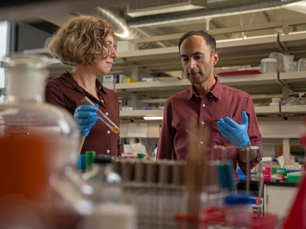 Two researchers examine a sample in a molecular biology lab.