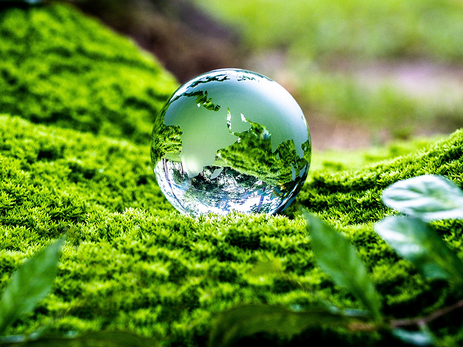 A glass globe rests on moss in a forest.