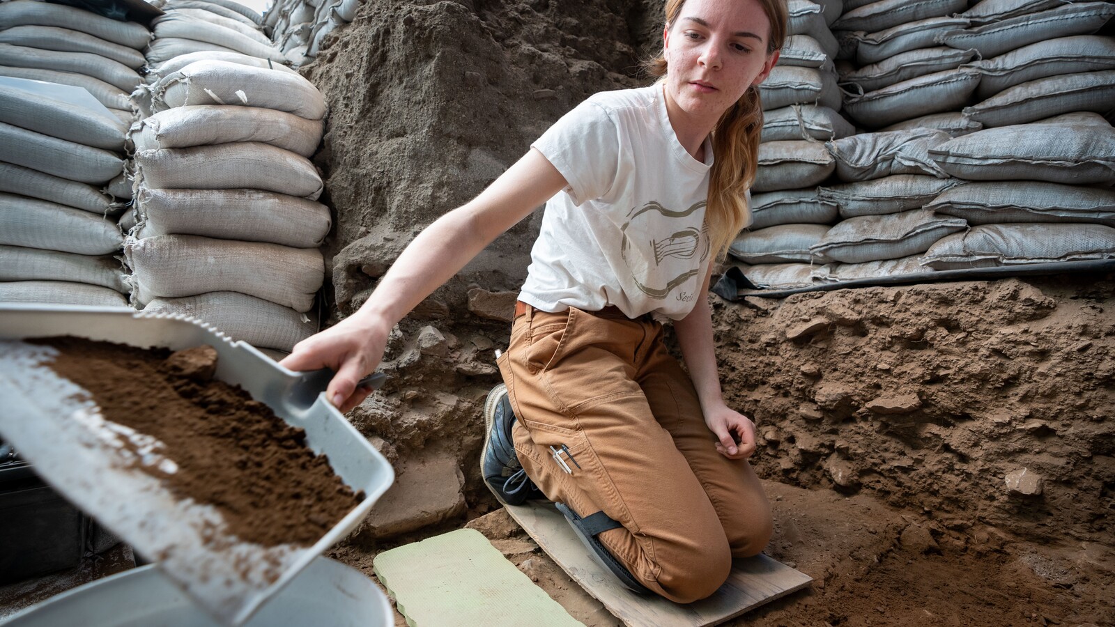 Researchers examine evidence during an interdisciplinary field study.