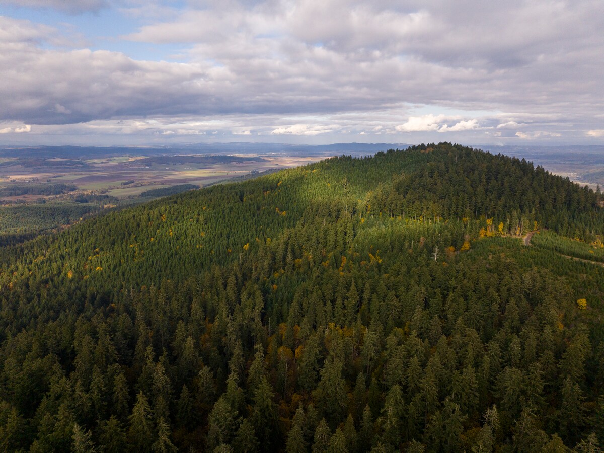 A forested ridge stretches beneath a cloudy sky.