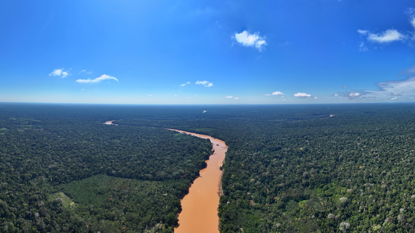 A river winds through dense Amazon rainforest under a clear sky.
