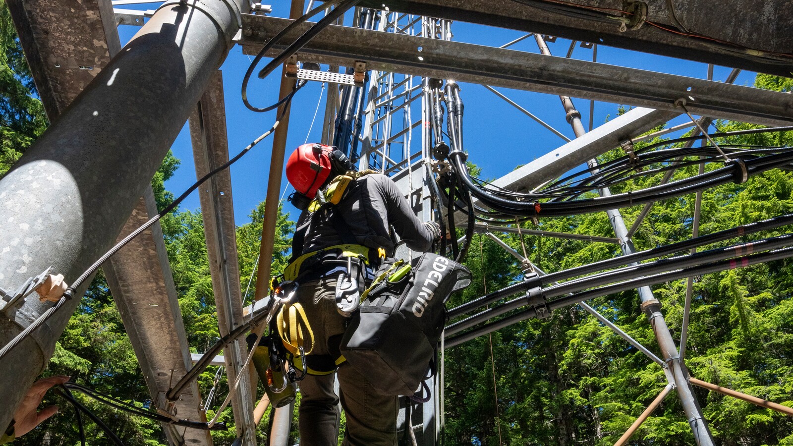 A researcher works high on a forest climate-monitoring tower.