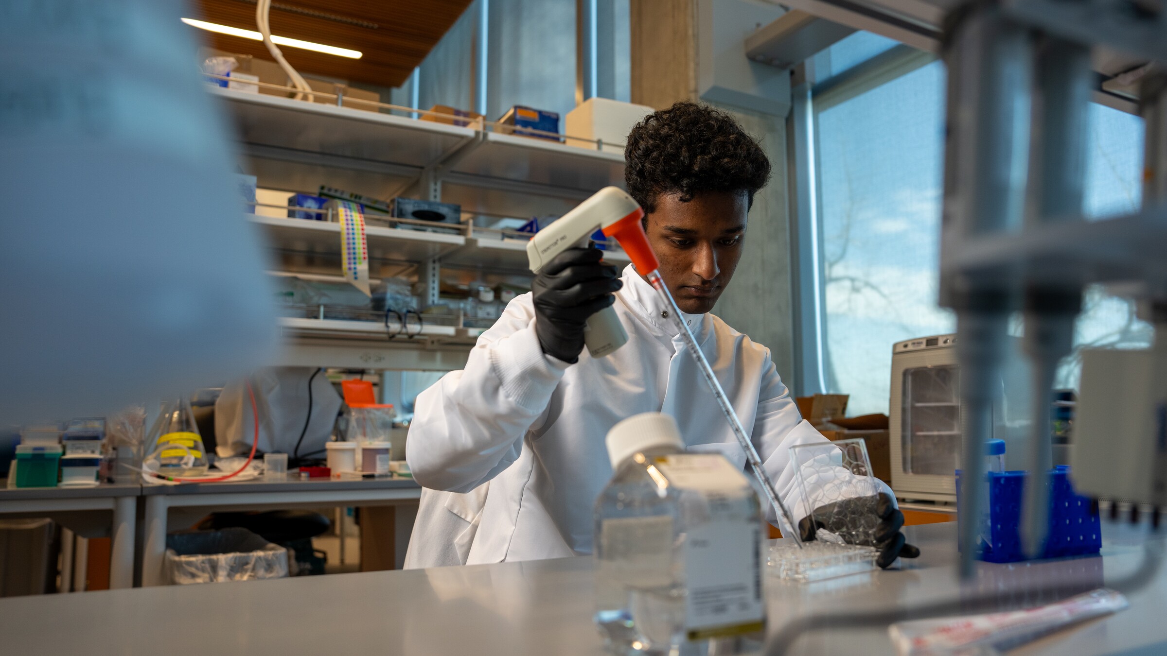 A researcher conducts a laboratory test.