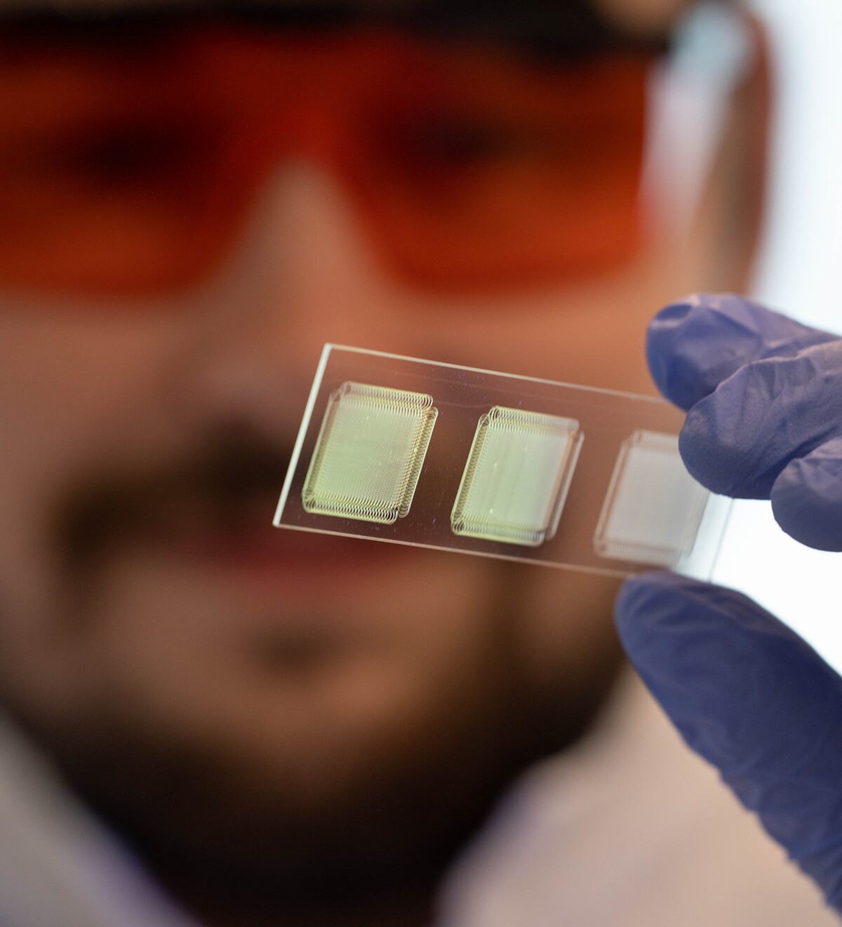 A researcher holds a small laboratory component.