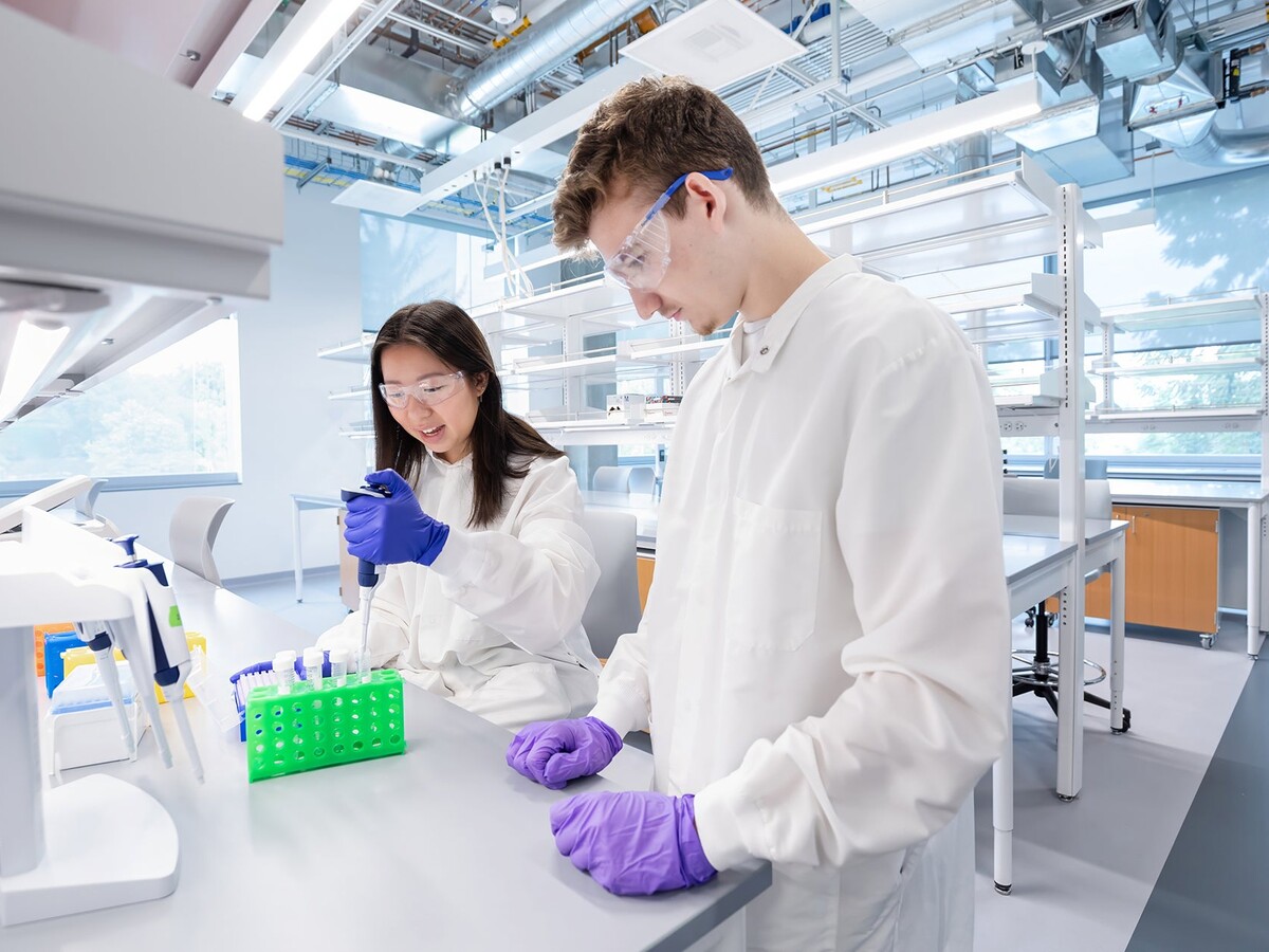 Researchers pipette samples in a University of Oregon laboratory.