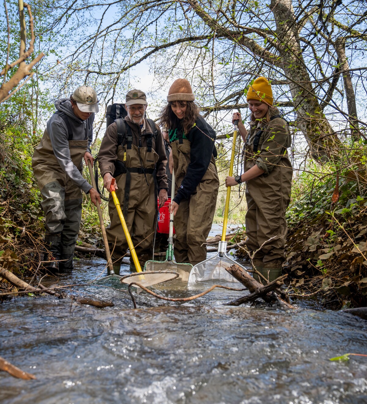 Researchers collect samples together in a forest stream.