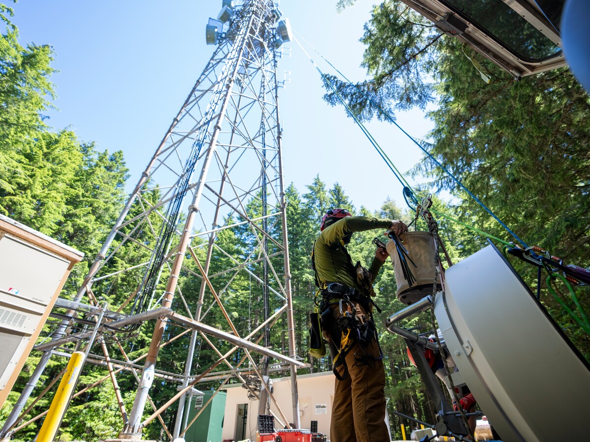 A researcher works beside communications equipment in a forest.