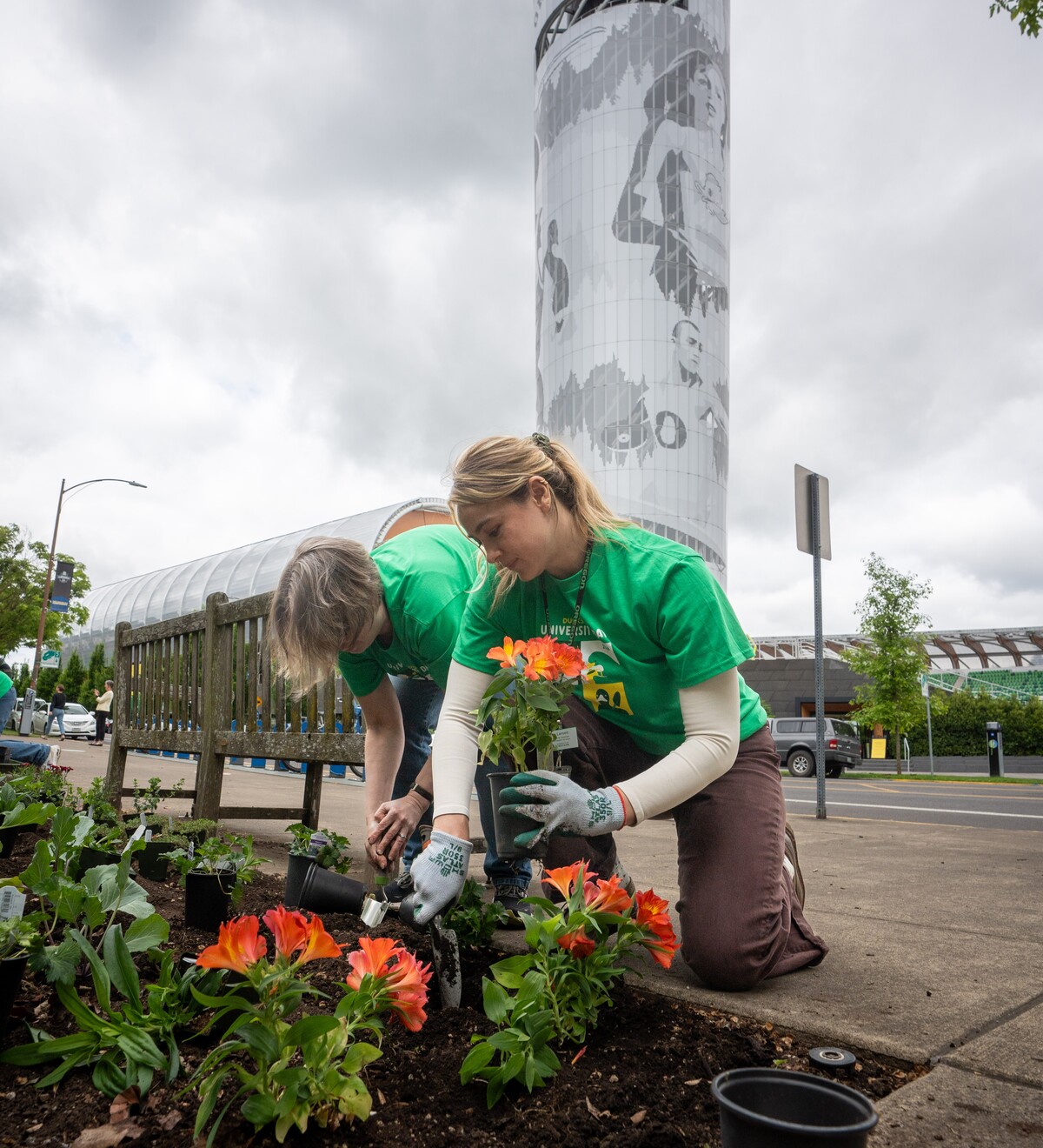 Two volunteers plant orange flowers beside a campus street.
